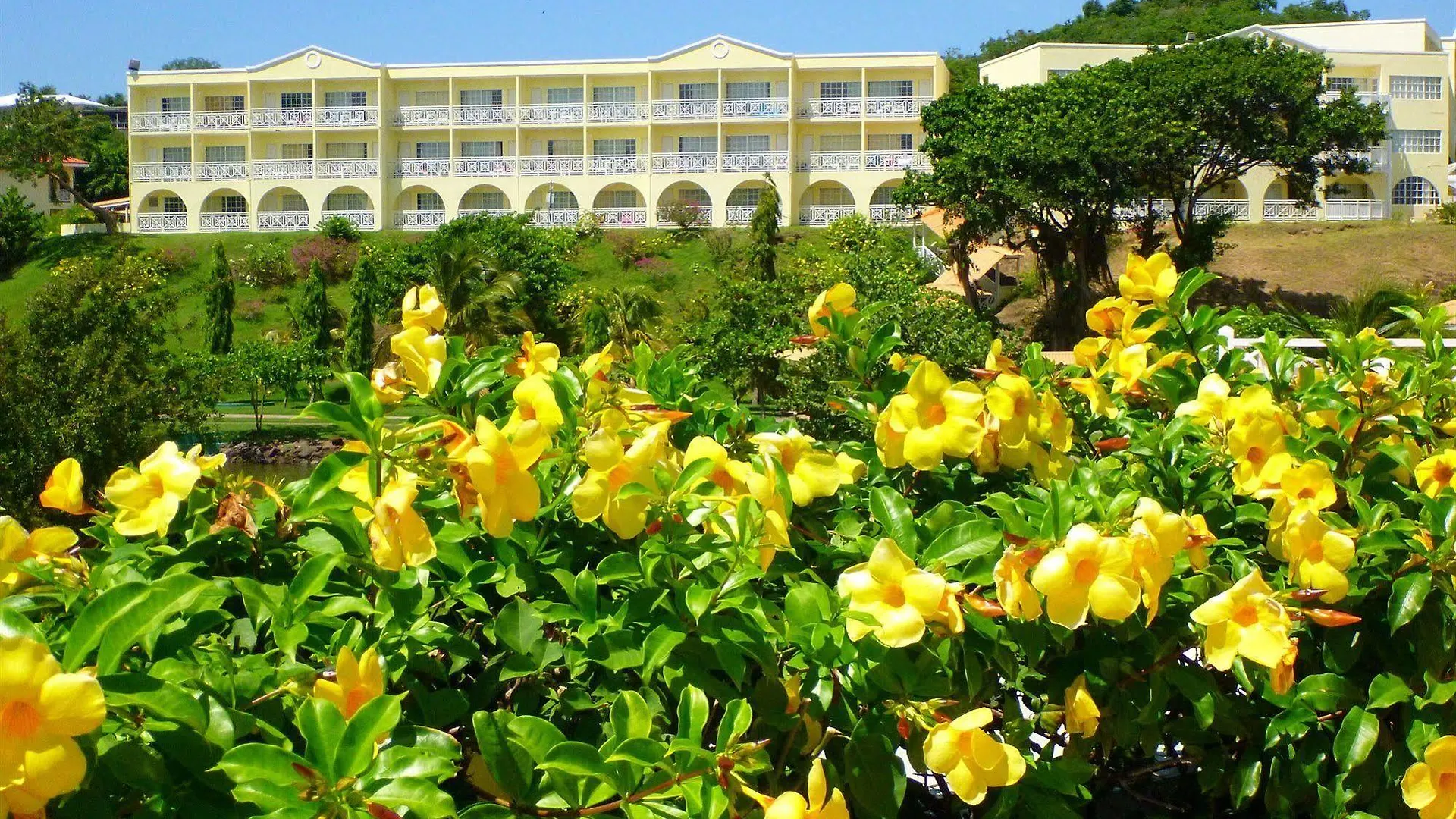 Resort Starfish Grenada Hotel St. George's